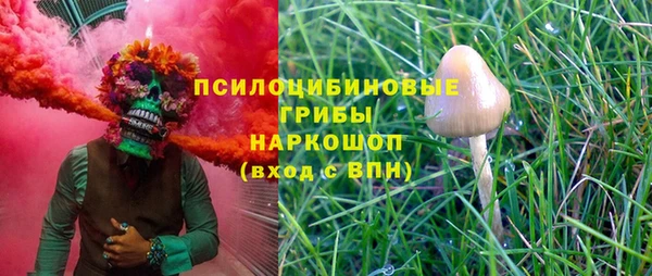 меф Белокуриха