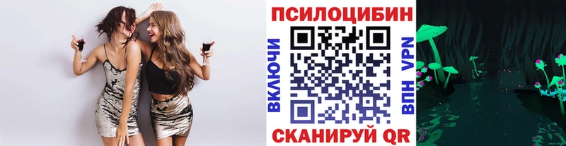 KRAKEN как войти  Гулькевичи  Галлюциногенные грибы мухоморы 