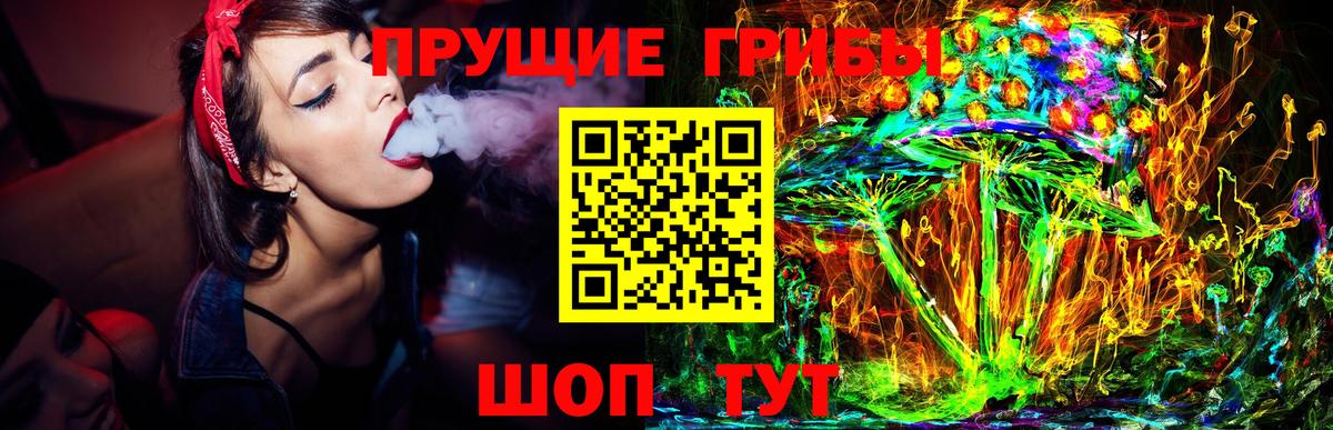 Галлюциногенные грибы ЛСД  как найти наркотики  Гулькевичи  Галлюциногенные грибы Psilocybine cubensis 